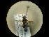 ( - CCDB-09788-G07)  @12 [ ] Copyright  G. Blagoev 2010 Unspecified