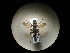  ( - CCDB-09789-A06)  @12 [ ] Copyright  G. Blagoev 2010 Unspecified