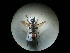  ( - CCDB-09789-A07)  @12 [ ] Copyright  G. Blagoev 2010 Unspecified