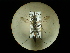  ( - CCDB-09789-C01)  @11 [ ] Copyright  G. Blagoev 2010 Unspecified