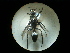  ( - CCDB-09789-C07)  @12 [ ] Copyright  G. Blagoev 2010 Unspecified