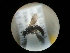  ( - CCDB-09789-E08)  @11 [ ] Copyright  G. Blagoev 2010 Unspecified