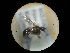  ( - CCDB-09789-E09)  @11 [ ] Copyright  G. Blagoev 2010 Unspecified