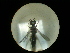  ( - CCDB-09789-E10)  @11 [ ] Copyright  G. Blagoev 2010 Unspecified