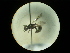  ( - CCDB-09789-F10)  @11 [ ] Copyright  G. Blagoev 2010 Unspecified