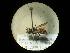  ( - CCDB-09789-G10)  @12 [ ] Copyright  G. Blagoev 2010 Unspecified