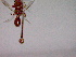  ( - CCDB-12229-A04)  @12 [ ] Copyright  G. Blagoev 2010 Unspecified