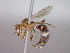  ( - CCDB-12229-A09)  @12 [ ] Copyright  G. Blagoev 2010 Unspecified