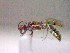  ( - CCDB-12229-B06)  @12 [ ] Copyright  G. Blagoev 2010 Unspecified