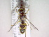  ( - CCDB-12229-C05)  @13 [ ] Copyright  G. Blagoev 2010 Unspecified