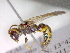  ( - CCDB-12229-C07)  @13 [ ] Copyright  G. Blagoev 2010 Unspecified