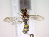  ( - CCDB-12229-E01)  @13 [ ] Copyright  G. Blagoev 2010 Unspecified