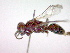  ( - CCDB-12229-E06)  @12 [ ] Copyright  G. Blagoev 2010 Unspecified