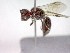  ( - CCDB-12229-E11)  @13 [ ] Copyright  G. Blagoev 2010 Unspecified