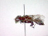  ( - CCDB-12229-F02)  @13 [ ] Copyright  G. Blagoev 2010 Unspecified