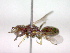  ( - CCDB-12229-F09)  @12 [ ] Copyright  G. Blagoev 2010 Unspecified