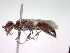  ( - CCDB-12229-G12)  @12 [ ] Copyright  G. Blagoev 2010 Unspecified