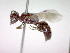  ( - CCDB-12229-H01)  @13 [ ] Copyright  G. Blagoev 2010 Unspecified