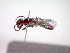 ( - CCDB-12230-B03)  @12 [ ] Copyright  G. Blagoev 2010 Unspecified
