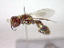  ( - CCDB-12230-B11)  @12 [ ] Copyright  G. Blagoev 2010 Unspecified