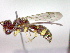  ( - CCDB-12230-D03)  @13 [ ] Copyright  G. Blagoev 2010 Unspecified