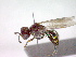  ( - CCDB-12230-D10)  @13 [ ] Copyright  G. Blagoev 2010 Unspecified