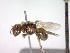  ( - CCDB-12230-E03)  @12 [ ] Copyright  G. Blagoev 2010 Unspecified