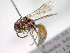  ( - CCDB-12230-F06)  @13 [ ] Copyright  G. Blagoev 2010 Unspecified