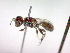  ( - CCDB-12230-F08)  @12 [ ] Copyright  G. Blagoev 2010 Unspecified