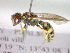  ( - CCDB-12230-H04)  @13 [ ] Copyright  G. Blagoev 2010 Unspecified