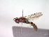  ( - CCDB-12230-H05)  @13 [ ] Copyright  G. Blagoev 2010 Unspecified
