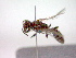 ( - CCDB-12230-H09)  @13 [ ] Copyright  G. Blagoev 2010 Unspecified