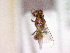 ( - CCDB-12231-A09)  @12 [ ] Copyright  G. Blagoev 2010 Unspecified