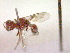  ( - CCDB-12231-B01)  @13 [ ] Copyright  G. Blagoev 2010 Unspecified