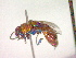  ( - CCDB-12231-B04)  @12 [ ] Copyright  G. Blagoev 2010 Unspecified