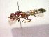  ( - CCDB-12231-B06)  @12 [ ] Copyright  G. Blagoev 2010 Unspecified