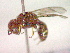  ( - CCDB-12231-B11)  @12 [ ] Copyright  G. Blagoev 2010 Unspecified