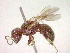  ( - CCDB-12231-C04)  @12 [ ] Copyright  G. Blagoev 2010 Unspecified