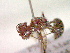  ( - CCDB-12231-C06)  @12 [ ] Copyright  G. Blagoev 2010 Unspecified