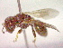  ( - CCDB-12231-C09)  @12 [ ] Copyright  G. Blagoev 2010 Unspecified