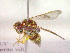  ( - CCDB-12231-C11)  @13 [ ] Copyright  G. Blagoev 2010 Unspecified