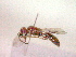  ( - CCDB-12231-D04)  @12 [ ] Copyright  G. Blagoev 2010 Unspecified