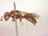  ( - CCDB-12231-D05)  @12 [ ] Copyright  G. Blagoev 2010 Unspecified