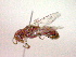  ( - CCDB-12231-D11)  @12 [ ] Copyright  G. Blagoev 2010 Unspecified