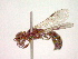  ( - CCDB-12231-D12)  @12 [ ] Copyright  G. Blagoev 2010 Unspecified