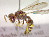  ( - CCDB-12231-E03)  @13 [ ] Copyright  G. Blagoev 2010 Unspecified