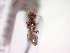  ( - CCDB-12231-F01)  @13 [ ] Copyright  G. Blagoev 2010 Unspecified