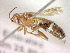  ( - CCDB-12231-F02)  @13 [ ] Copyright  G. Blagoev 2010 Unspecified