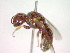  ( - CCDB-12231-H07)  @13 [ ] Copyright  G. Blagoev 2010 Unspecified