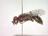  ( - CCDB-12231-H11)  @13 [ ] Copyright  G. Blagoev 2010 Unspecified